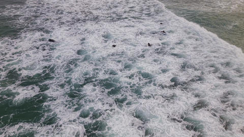 Aerial view of surfers waiting in ocean waves