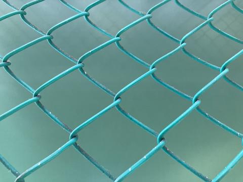 green chain-link fence with a blurred background