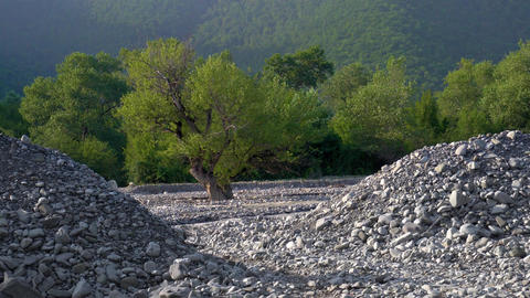 Scenic natural landscape during a summer evening