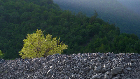 Scenic natural landscape during a summer evening