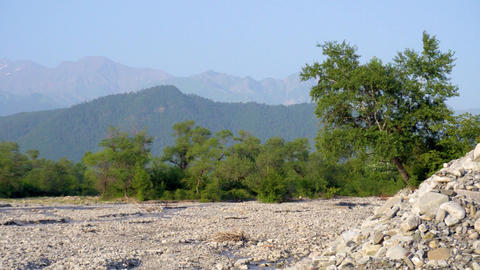 Scenic natural landscape during a summer evening