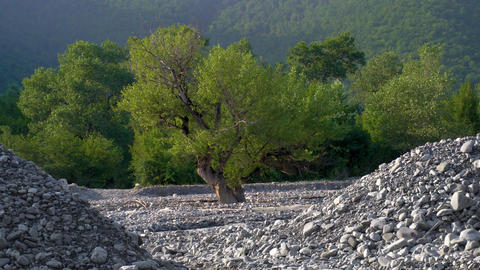 Scenic natural landscape during a summer evening
