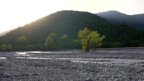 Scenic natural landscape during a summer evening