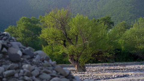 Scenic natural landscape during a summer evening