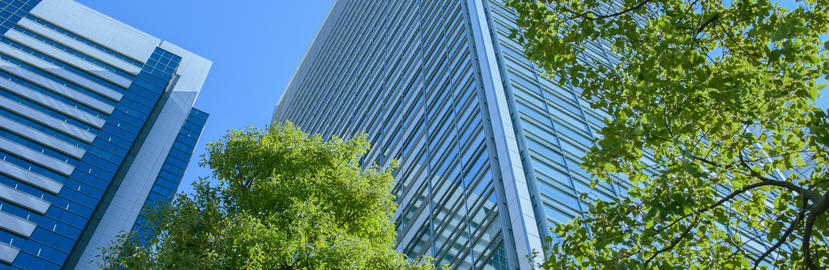 high rise building with green trees