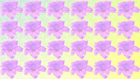 Pink lily pattern on gray yellow gradient
