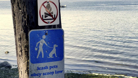 Leash pets and clean up sign on waterfront pier