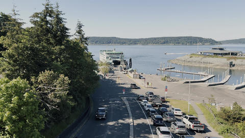 Waterfront marina road with parked cars