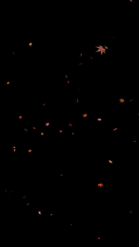 Vertical Seamless Loop Falling Autumn Maple Leaves on Black Background (Overlay)