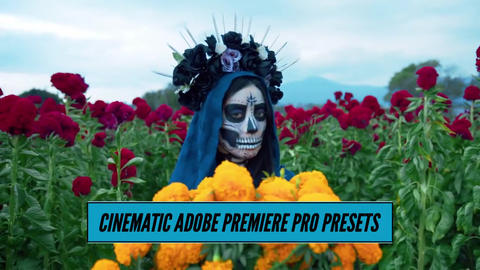 BMPCC 4K/6K Cinematic LUT Presets: Premiere Pro Color Grading