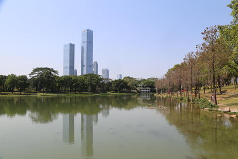 In the park, there is an open space with trees and grass on both sides of it, surrounded by green la