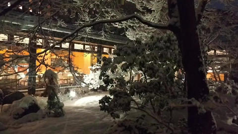 A Ryokan in the Snow