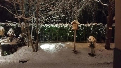 A Ryokan in the Snow