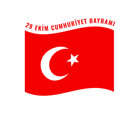 Celebrating 29 ekim cumhuriyet bayrami with the turkish waving flag vector design