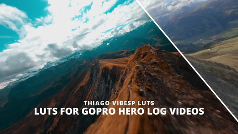 Cinematic LUTs for GoPro Log Videos for Premiere Pro + 21 Website Templates HTML