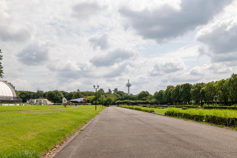 Wide Path in a Spacious Public Park with Green Lawn Under Cloudy Sky