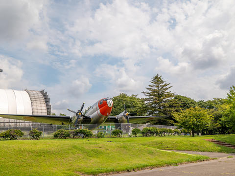 Vintage Propeller Aircraft Displayed Outdoors in a Park with Green Lawn