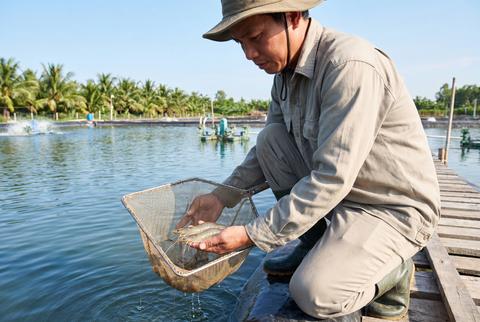 Worker Kneeling at Aquaculture Pond Examining Fresh Fish Catch