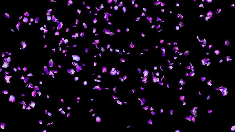 Hana particle