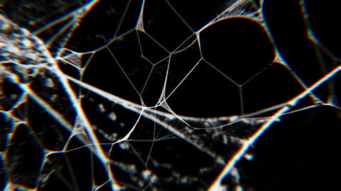 The spider silk in black background