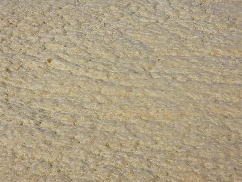 Foam Texture Dances Under Sunlight on a Calm Summer Day