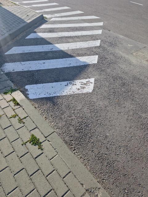 Painted Road Markings Create a Visual Guide for Pedestrians at the Crosswalk