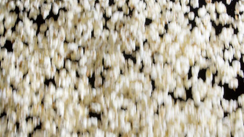 Popcorn Cascade