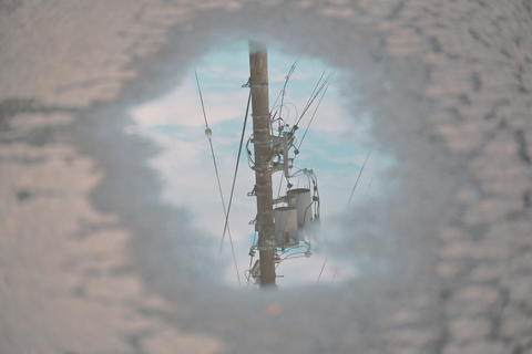 Summer reflected in a puddle
