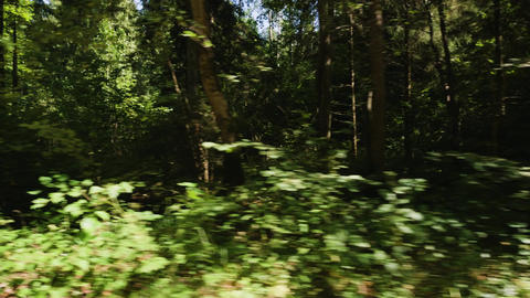 20Z 0000028 DJI 20260827142105 0019 D A001