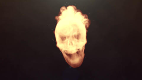 Skull Logo Reveal