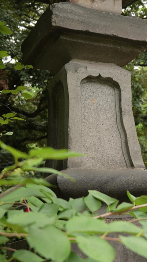 Stone Lantern Panning Shot in Garden Shrine, Vertical Video