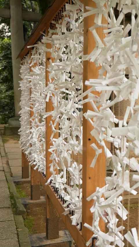 Fortune Paper Slips Swaying in Wind at Shrine vertical video