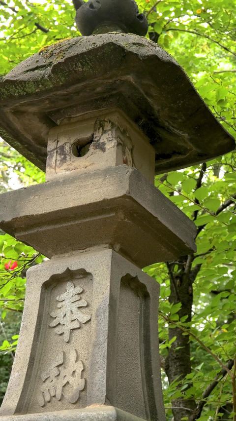 Stone Lantern in a Shrine Garden with Swaying Leaves vertical video