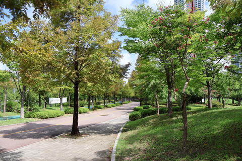 Paved pedestrian and bicycle path in city park with green trees and grassy lawn