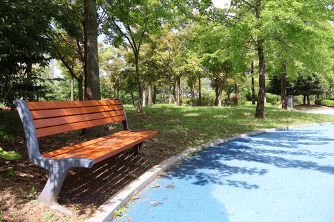 Wooden park bench beside blue running track under shady green trees