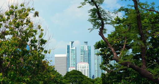 City park framing modern skyline behind green trees and blue sky, tall glass