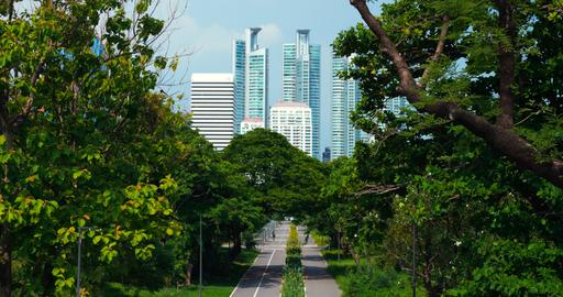 Urban park path framed by lush trees leading toward modern city skyscrapers