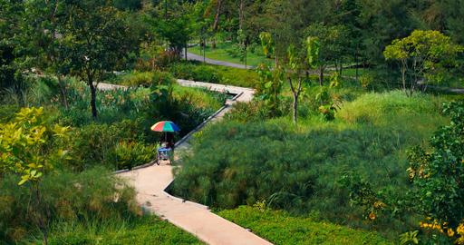 Park path with cyclist beneath colorful umbrella moving through lush green