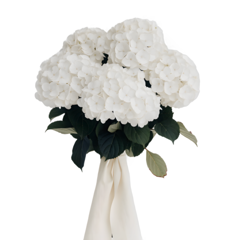 White Hydrangea Bouquet