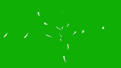 Small worms movement on green screen