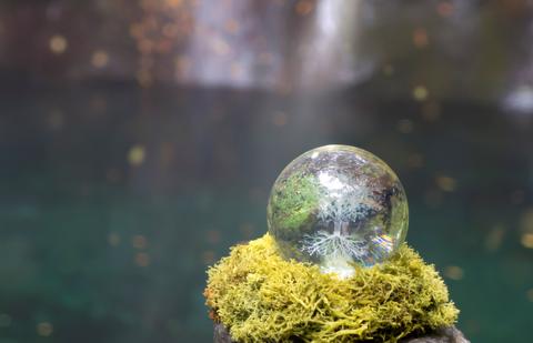 Eco-Image: Azure Lake and Glass Tree
