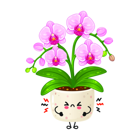 Cute orchid houseplant character with angry expression