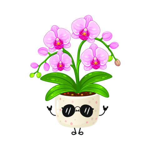 Cute orchid houseplant character in rock pose