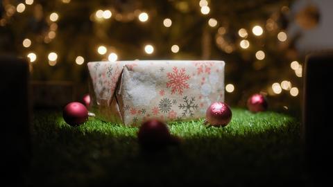 Christmas Gift on a Green Lawn Under the Tree
