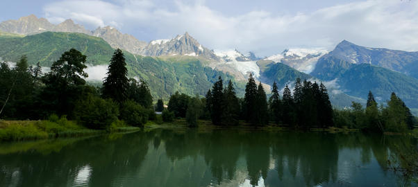 majestic snow-capped mountain reflected in a serene lake with pine forest