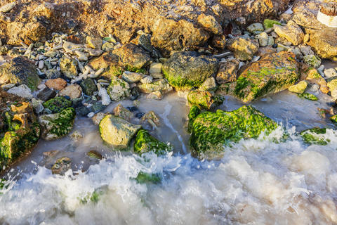 Close-up view of Caribbean waves washing over algae covered rocks on Aruba shoreline