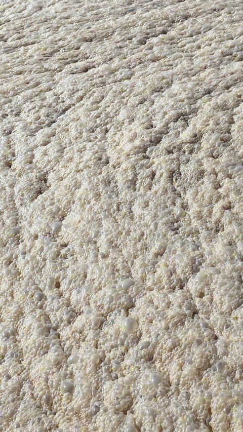 Exploring the Textures of Ancient Stone Surfaces in Stunning Detail