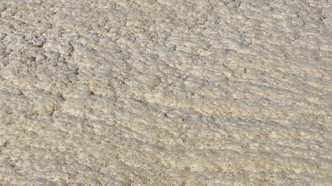 Natural Texture of Sandy Beach Captured Under Bright Sunlight