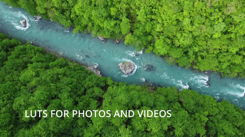 Universal LUTs — Photoshop, Premiere Pro, CapCut, Final Cut & More