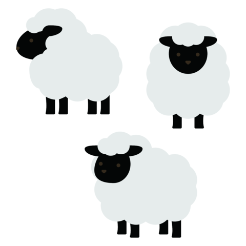 Cute round fluffy sheep with black faces in various poses